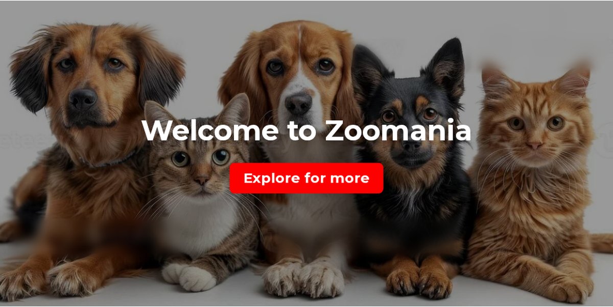 Zoomania — Website Design preview